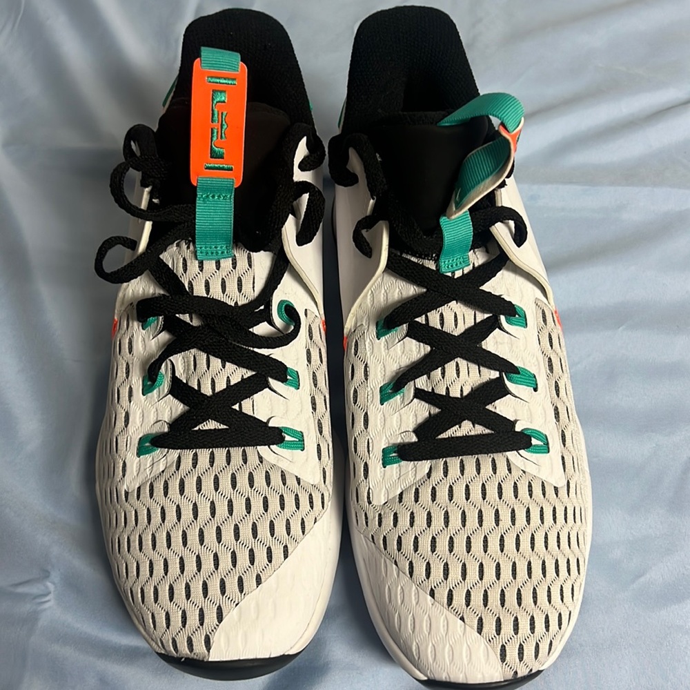 Nike Lebron Witness V